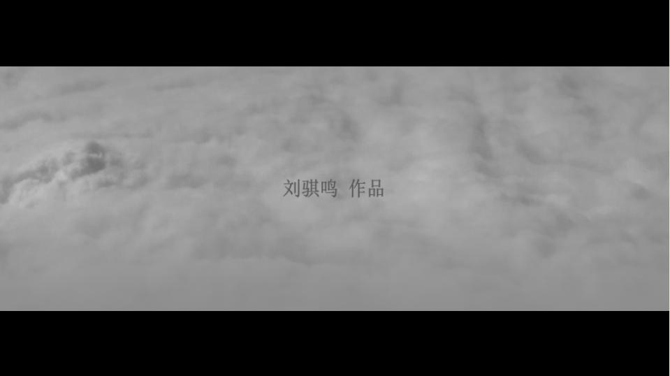 刘骐鸣《28种36例》，2010年，影像静帧1：云天背景中的题名、艺术家署名或姓名。
