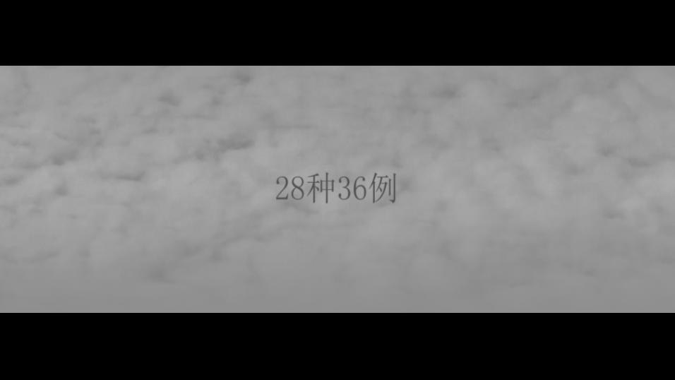 刘骐鸣《28种36例》，2010年，影像静帧2：云天背景中的题名、艺术家署名或姓名。