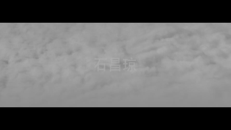 刘骐鸣《28种36例》，2010年，影像静帧5：云天背景中的题名、艺术家署名或姓名。