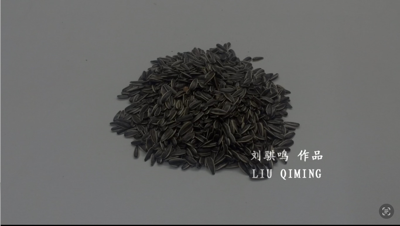 Artist-designated cover for Peanuts and Sunflower Seeds (2013)