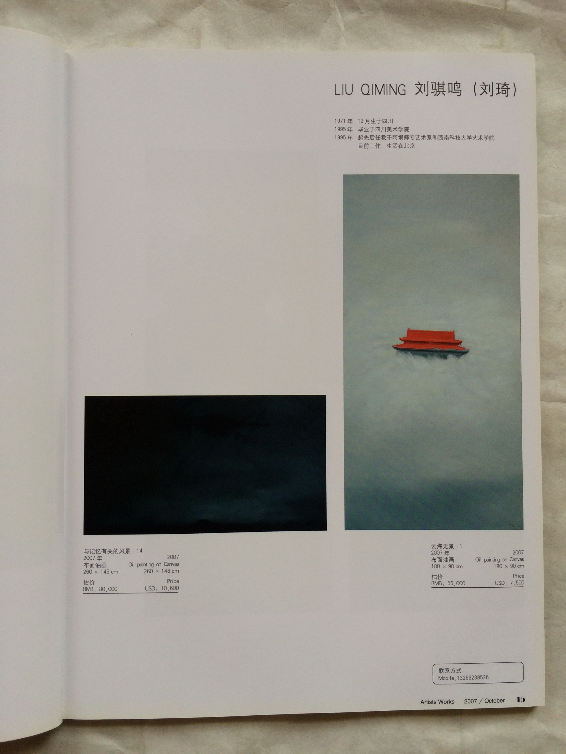 ART概：艺术北京2007特刊 — 选页
