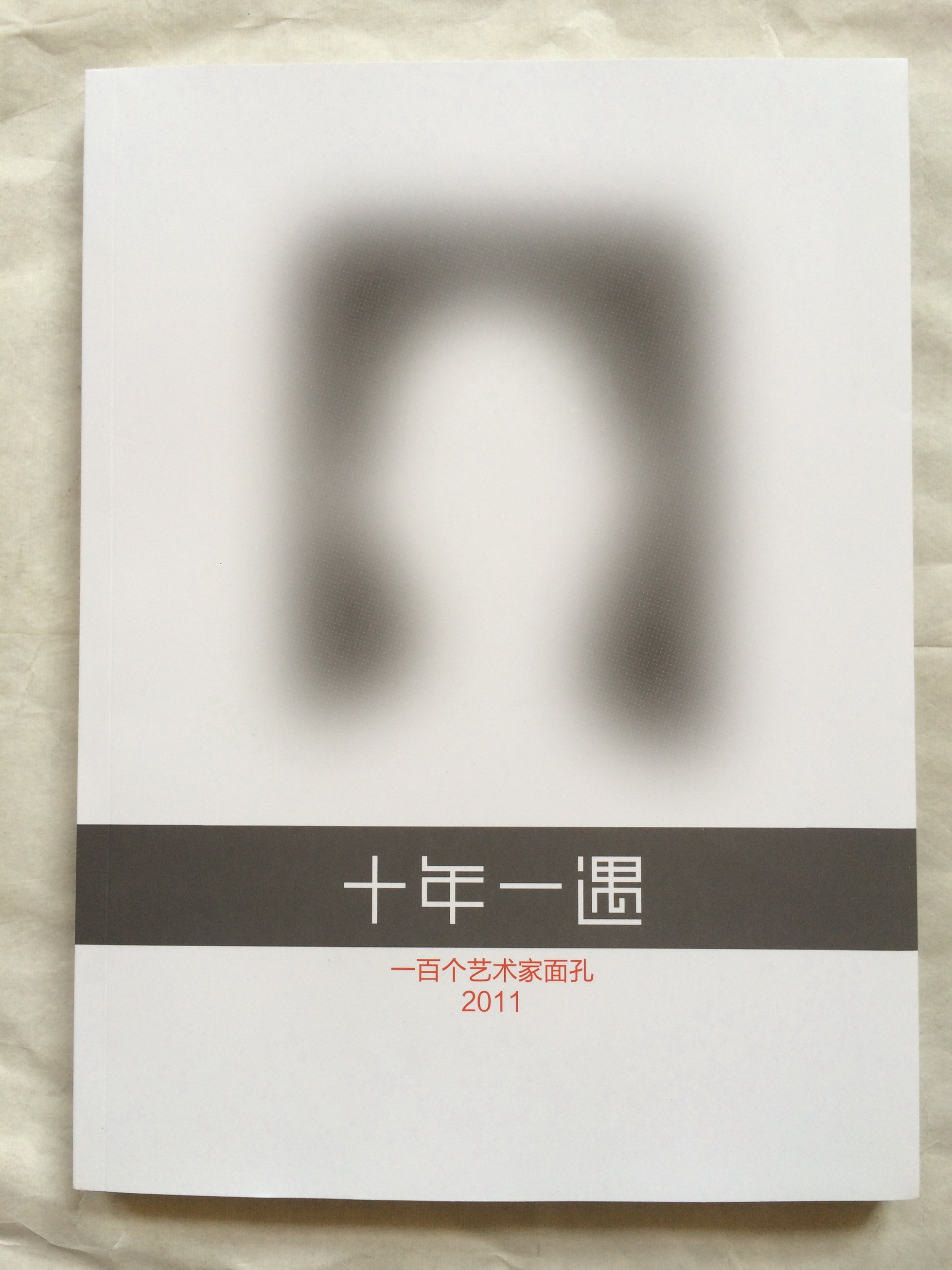 十年一遇——一百个艺术家面孔 — 封面
