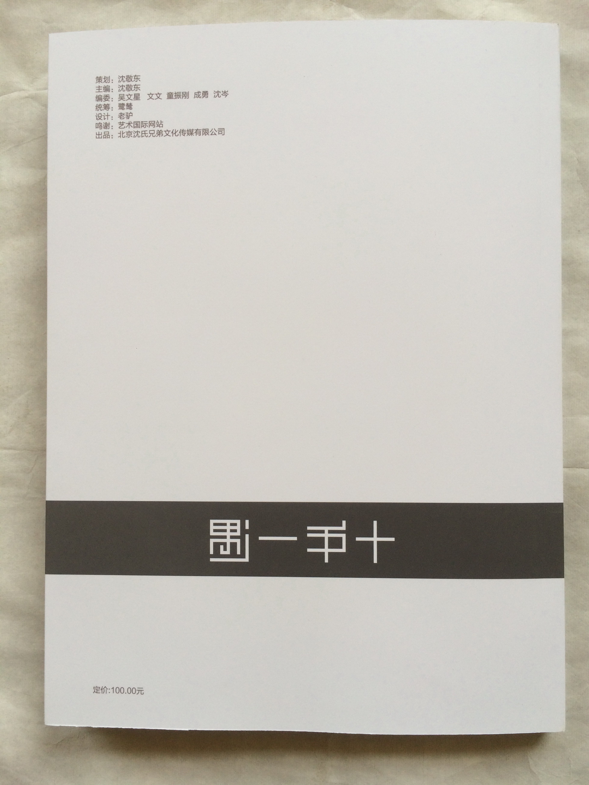十年一遇——一百个艺术家面孔 — 选页