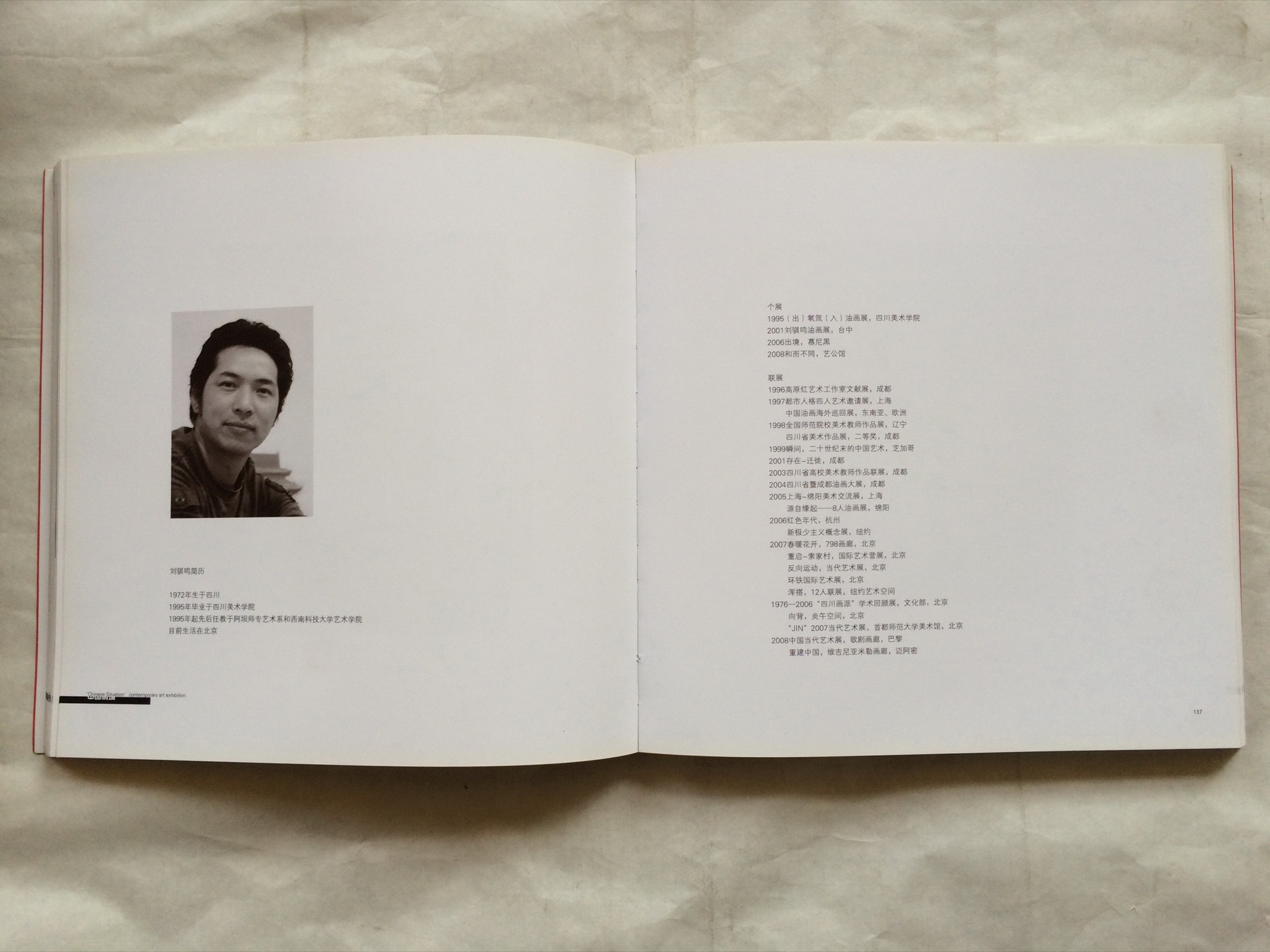 中国情境：当代艺术展 — 选页