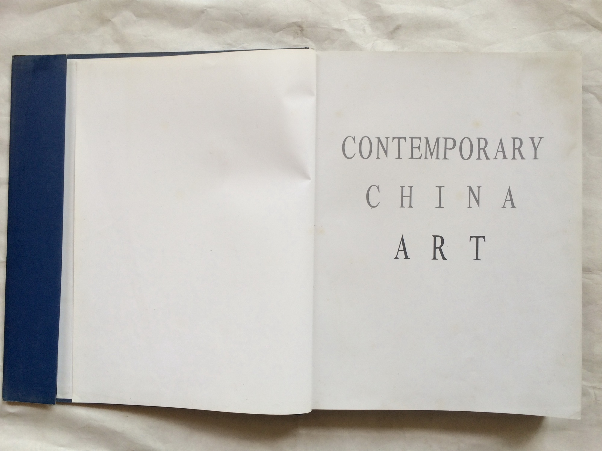 当代中国美术 — 选页
