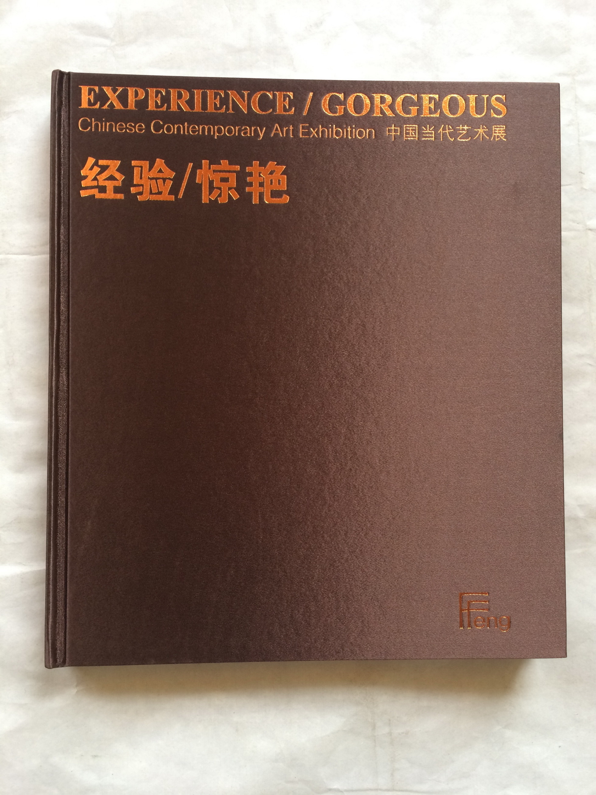 经验／惊艳：中国当代艺术展 — 封面