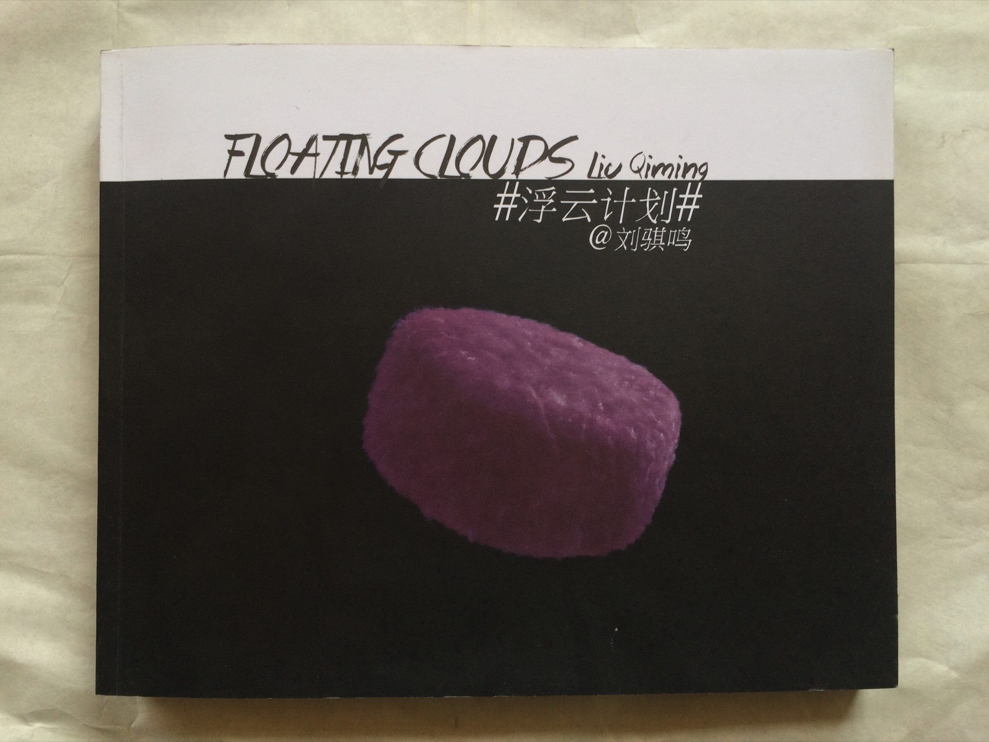 #浮云计划#@刘骐鸣 — 封面