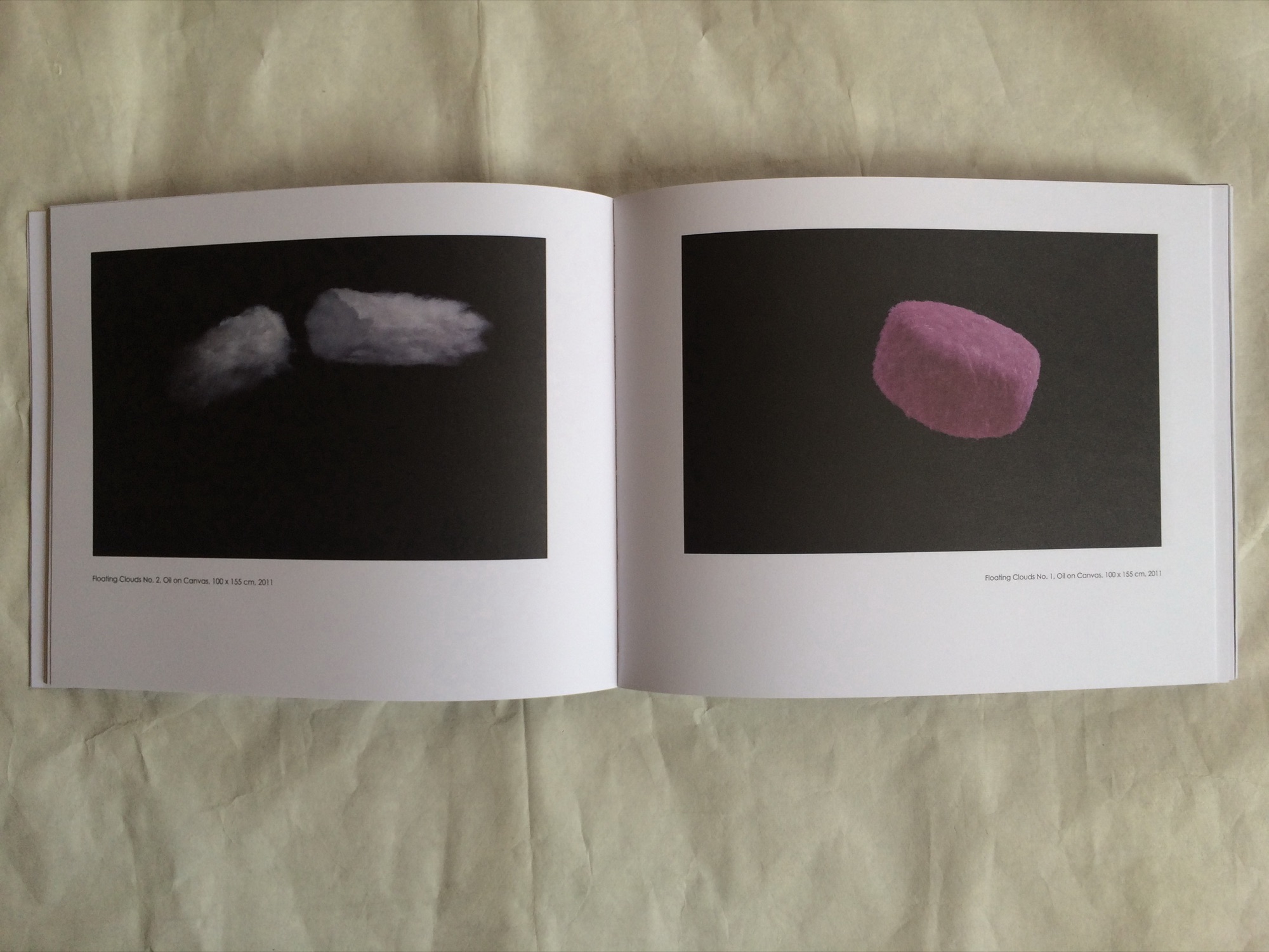 Floating Clouds: Qiming Liu — Selected page