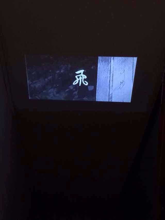 混合与分享：知识共享综合艺术展现场播放刘骐鸣《飞》