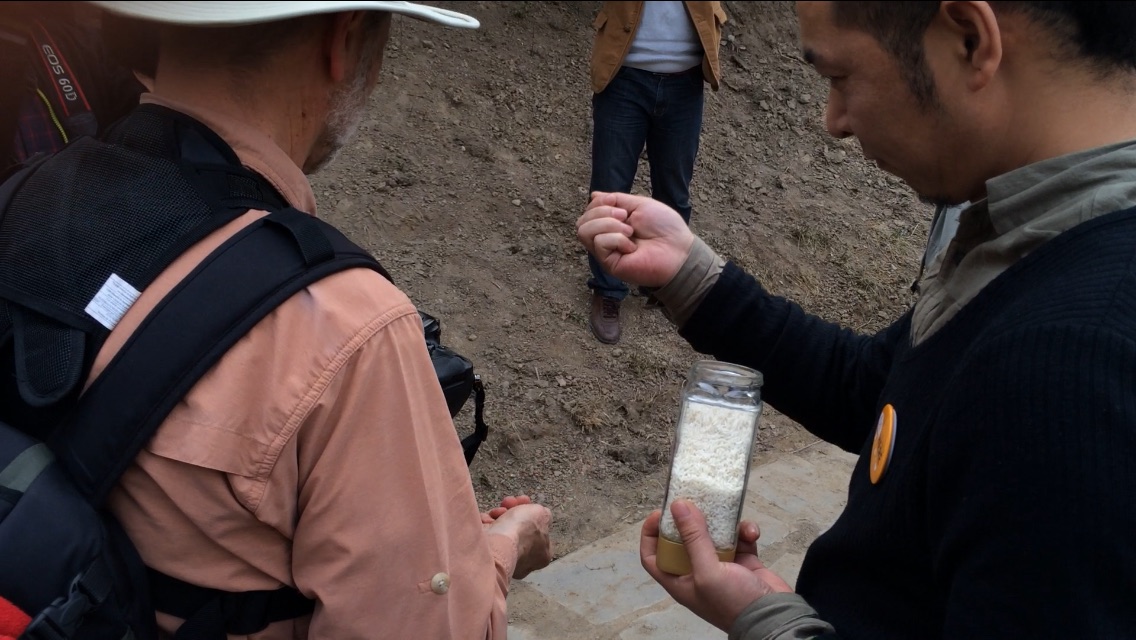 Sowing Rice: document 04