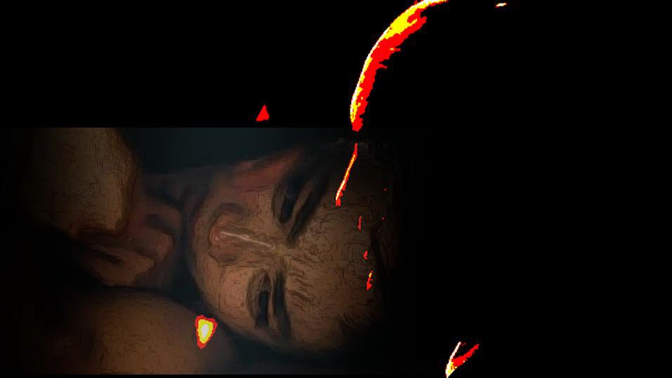 刘骐鸣《受伤的影像》，2009年，重组原影像的静帧2。